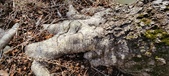 Enlarge photo 332