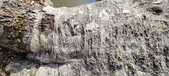 Enlarge photo 328