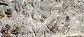 Enlarge photo 329