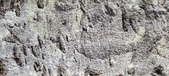 Enlarge photo 331