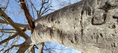Enlarge photo 327