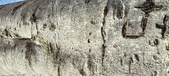 Enlarge photo 325