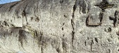 Enlarge photo 324