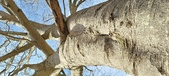 Enlarge photo 321