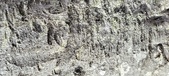 Enlarge photo 323