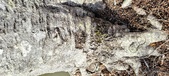 Enlarge photo 319