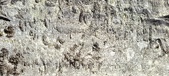 Enlarge photo 318