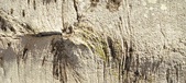 Enlarge photo 317