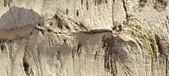 Enlarge photo 316