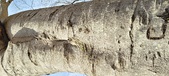Enlarge photo 313