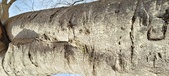 Enlarge photo 314