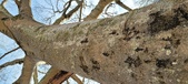 Enlarge photo 315
