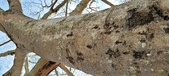 Enlarge photo 311