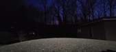 Enlarge photo 258