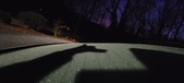 Enlarge photo 271