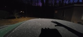 Enlarge photo 276