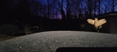 Enlarge photo 274