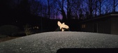 Enlarge photo 278
