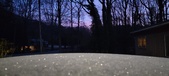 Enlarge photo 302