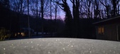 Enlarge photo 303