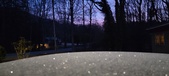 Enlarge photo 304