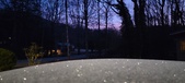 Enlarge photo 305