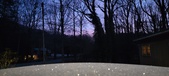 Enlarge photo 306