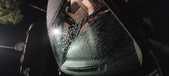 Enlarge photo 458