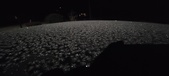 Enlarge photo 467