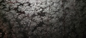 Enlarge photo 473