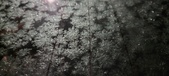Enlarge photo 472