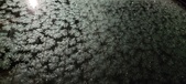 Enlarge photo 478