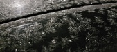 Enlarge photo 482