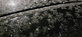 Enlarge photo 481