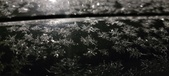 Enlarge photo 480