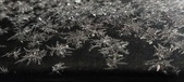 Enlarge photo 491