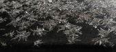 Enlarge photo 490
