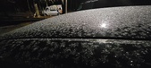 Enlarge photo 488