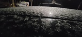 Enlarge photo 495