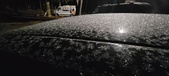 Enlarge photo 494