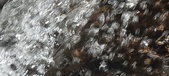 Enlarge photo 40