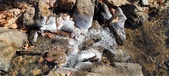 Enlarge photo 38