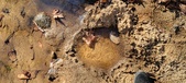 Enlarge photo 44