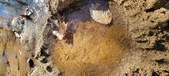Enlarge photo 48