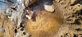 Enlarge photo 47