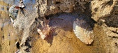 Enlarge photo 46