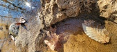 Enlarge photo 45