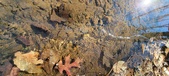 Enlarge photo 49