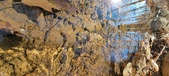 Enlarge photo 50