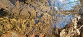 Enlarge photo 51